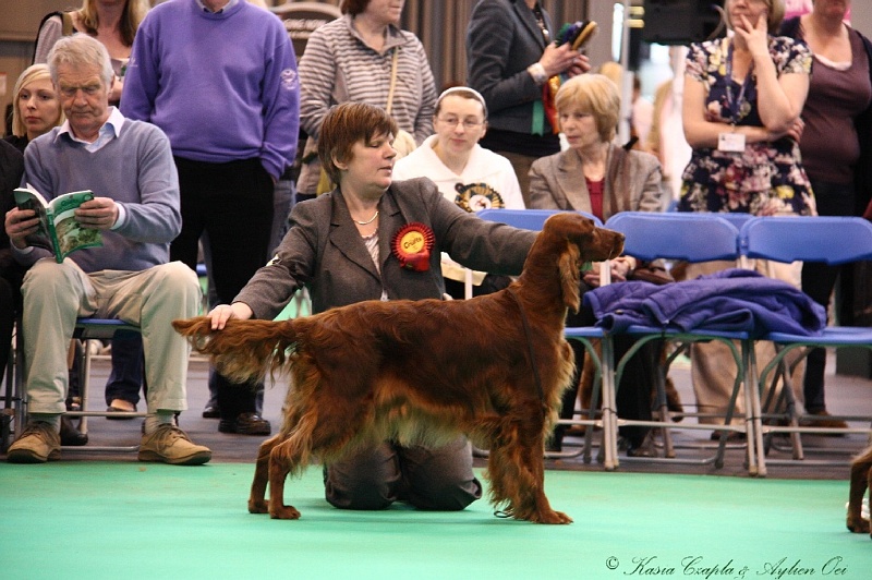 Crufts2011 867.jpg